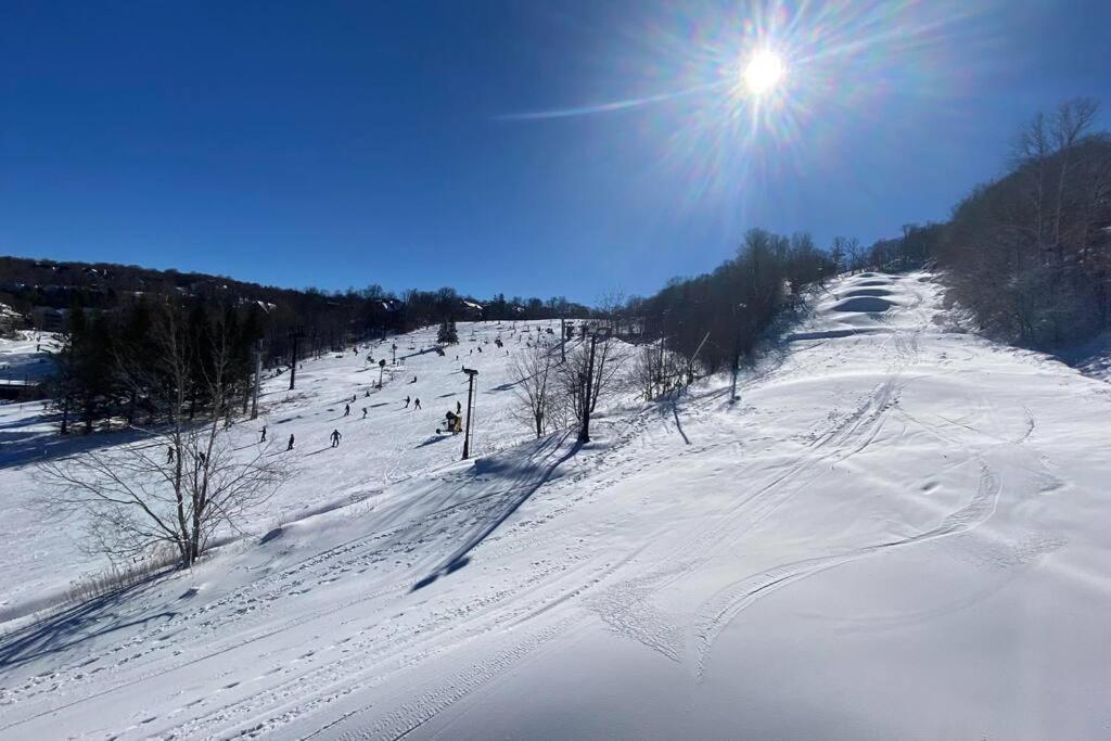 Cozy Charming Sleeps 11 * Beech Mountain